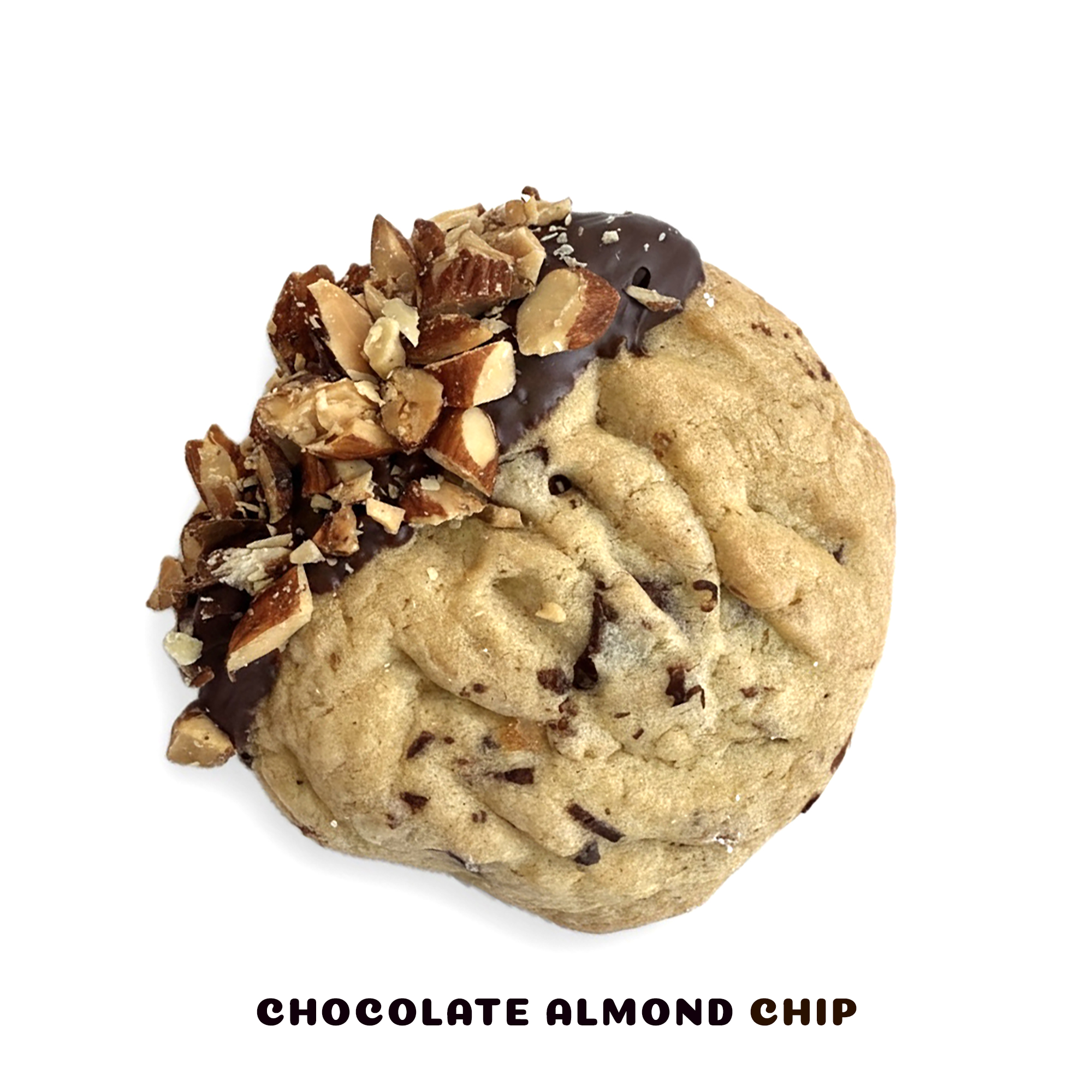 Chocolate Almond Chip